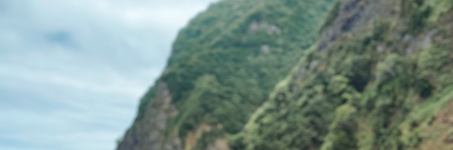 Catherine_Sousa's profile banner image