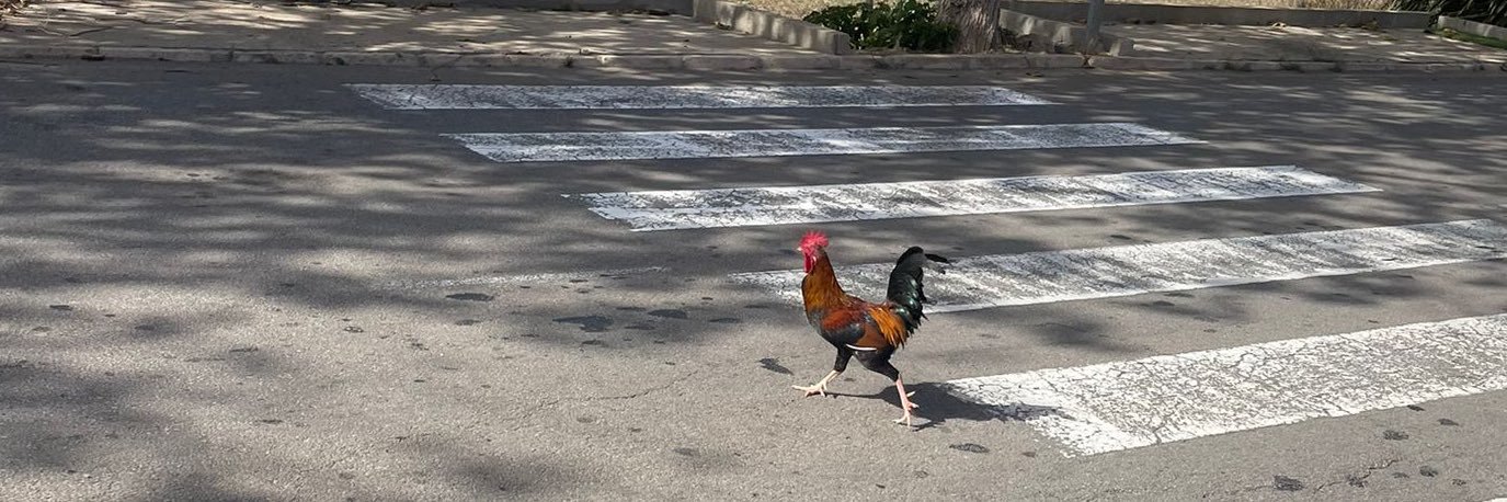 Marcus🫵🫀 banner