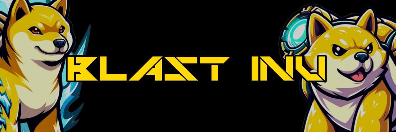 BLASTINU_SOL's profile banner image