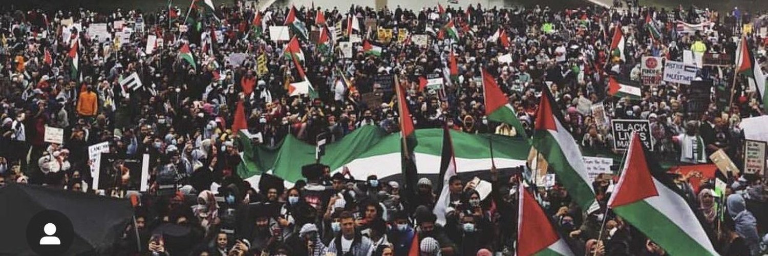 Free Palestine Profile Banner