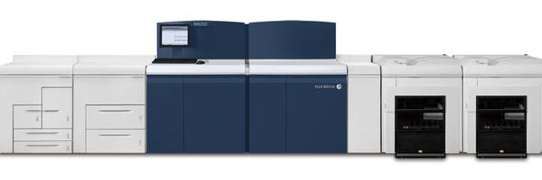 RyanTesta_Color Profile Banner