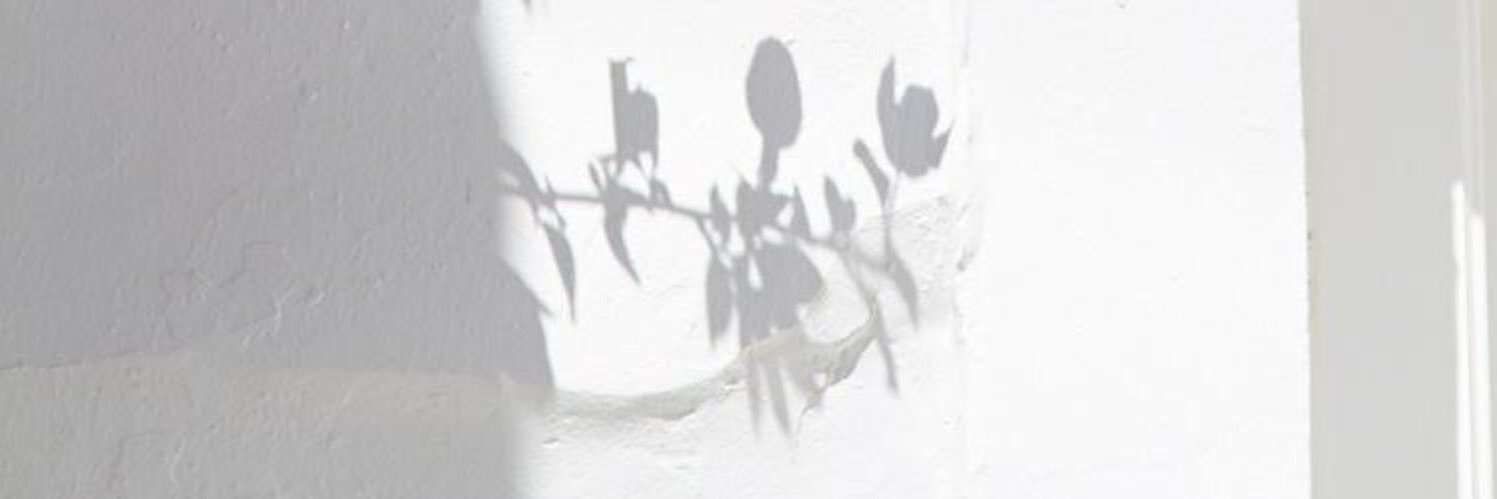 roroa570's profile banner image