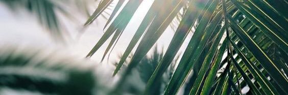Alicia_Pate_'s profile banner image
