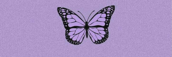 CardozoCam_'s profile banner image