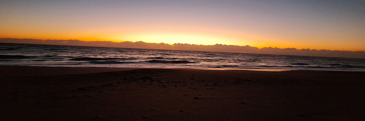 MuleShark1's profile banner image