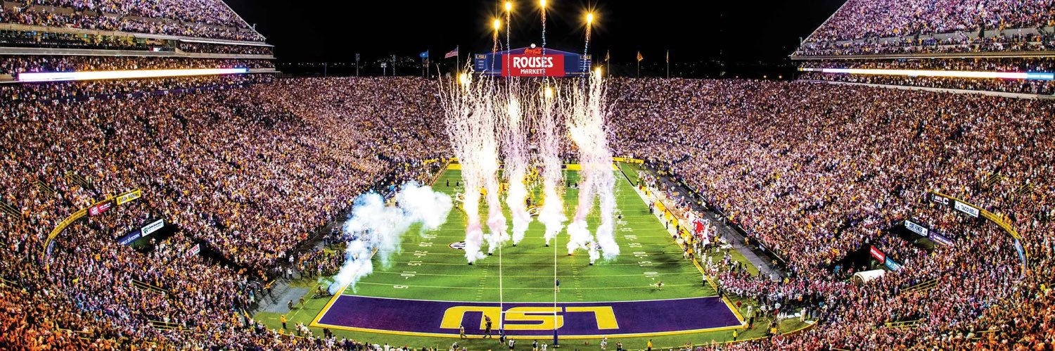 lsugamedaymike's profile banner image