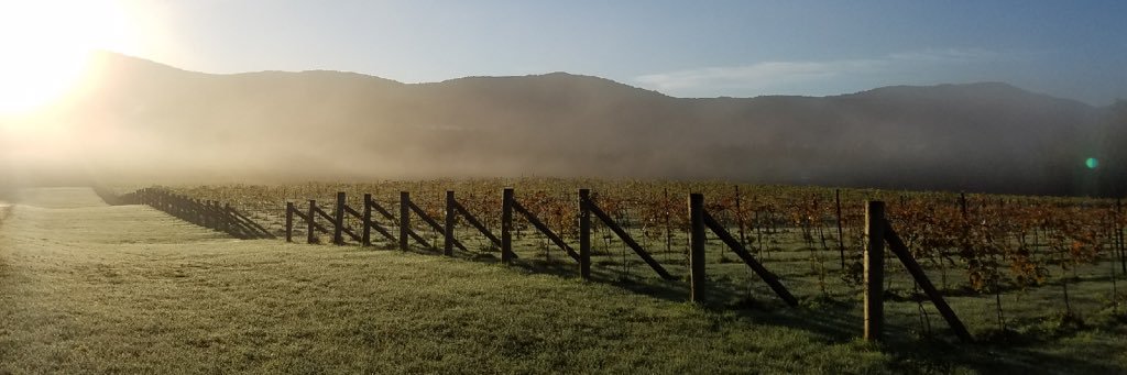 cmfegley's profile banner image