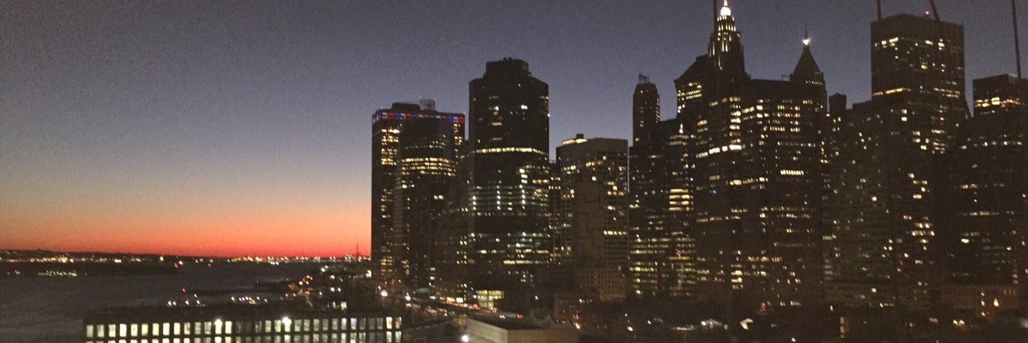 LaurenKirkpatrickx banner