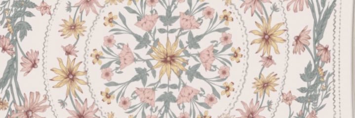 Shonaprout's profile banner image