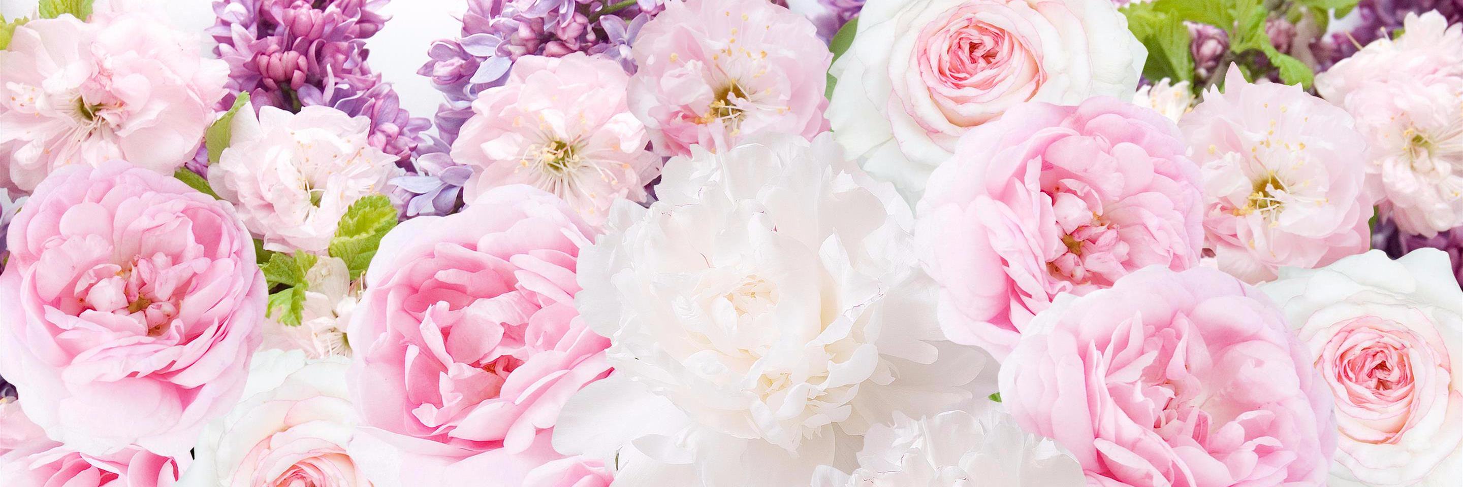 elvide_ebru's profile banner image