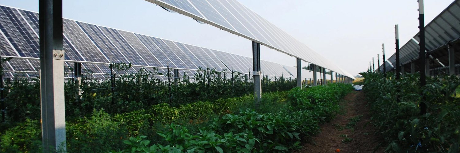 India Agrivoltaics Alliance banner