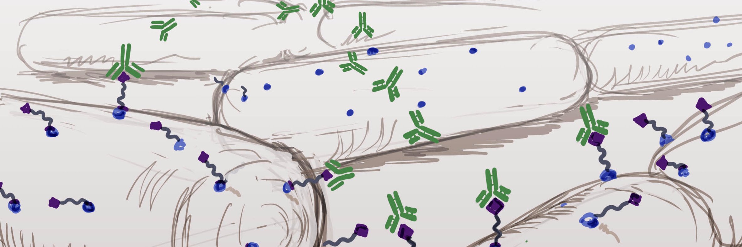 Pires Group: 🧪|🦠|🧫 banner