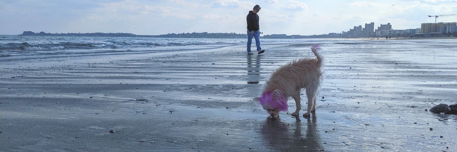 Fendall Fulton (they) banner