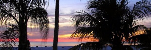 Lildee1027 Profile Banner