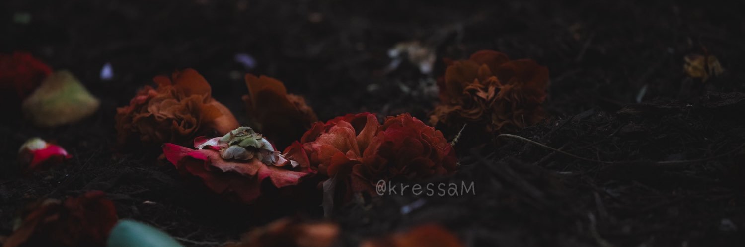 kressaM's profile banner image