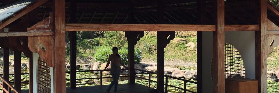 Avilesina's profile banner image