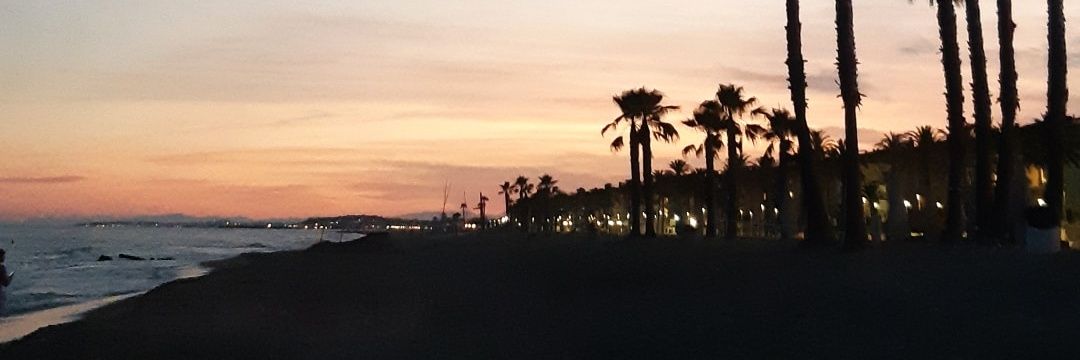floriantrache's profile banner image