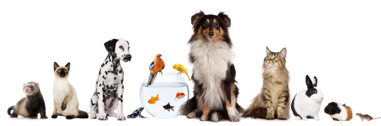 luraypetsitter's profile banner image