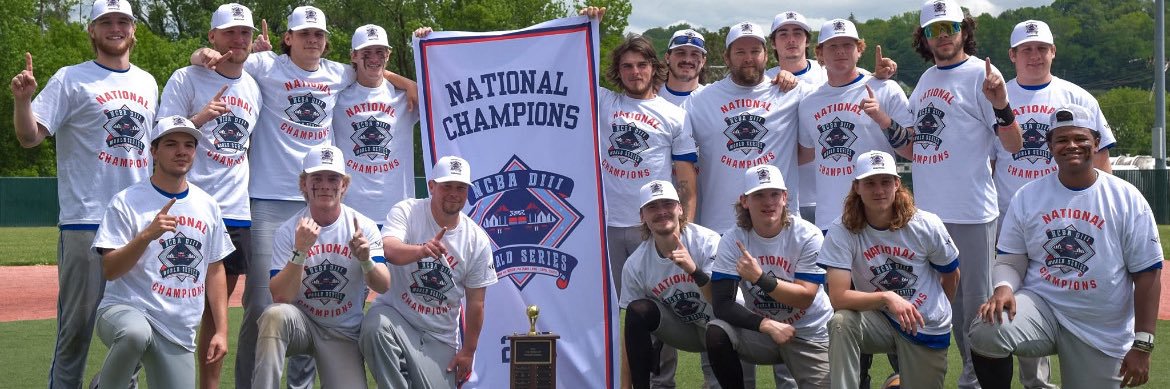 Craven CC Baseball banner