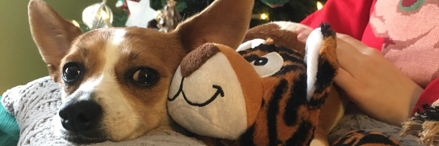 Hallie____'s profile banner image