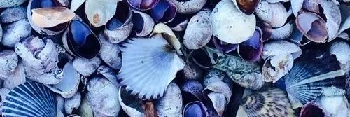 sarabastos26's profile banner image