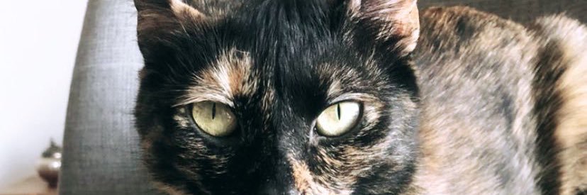 gabacamtr's profile banner image