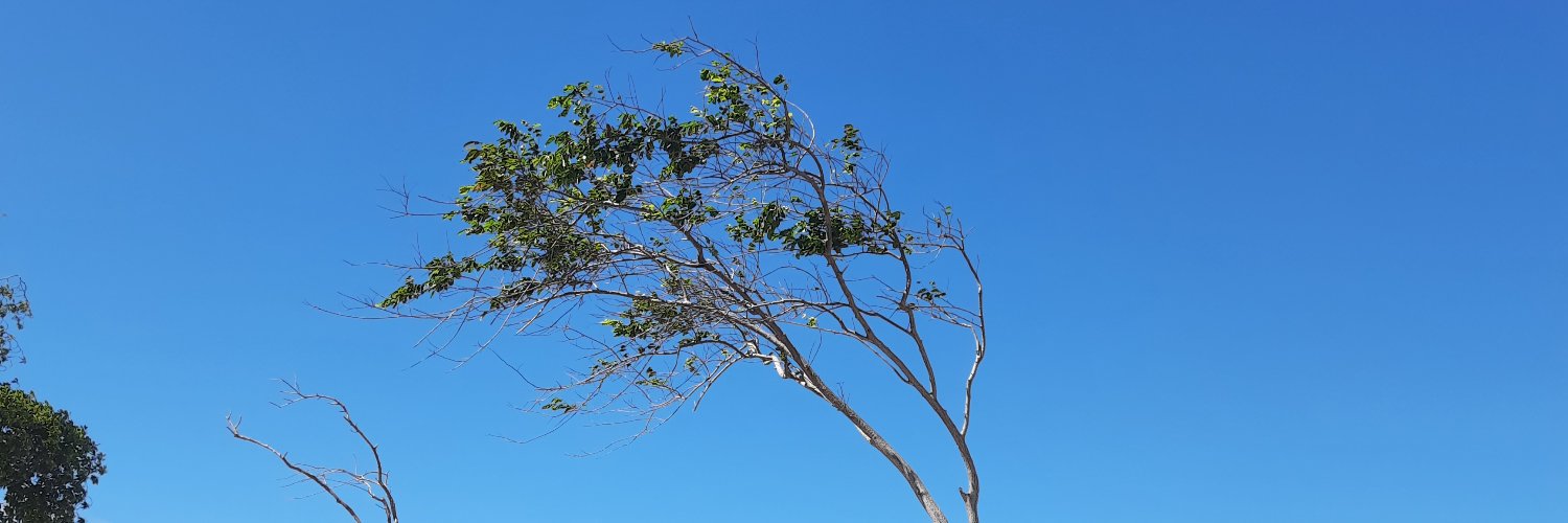 te_acalma's profile banner image