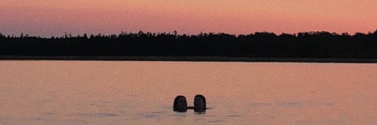 CessilyHayes's profile banner image