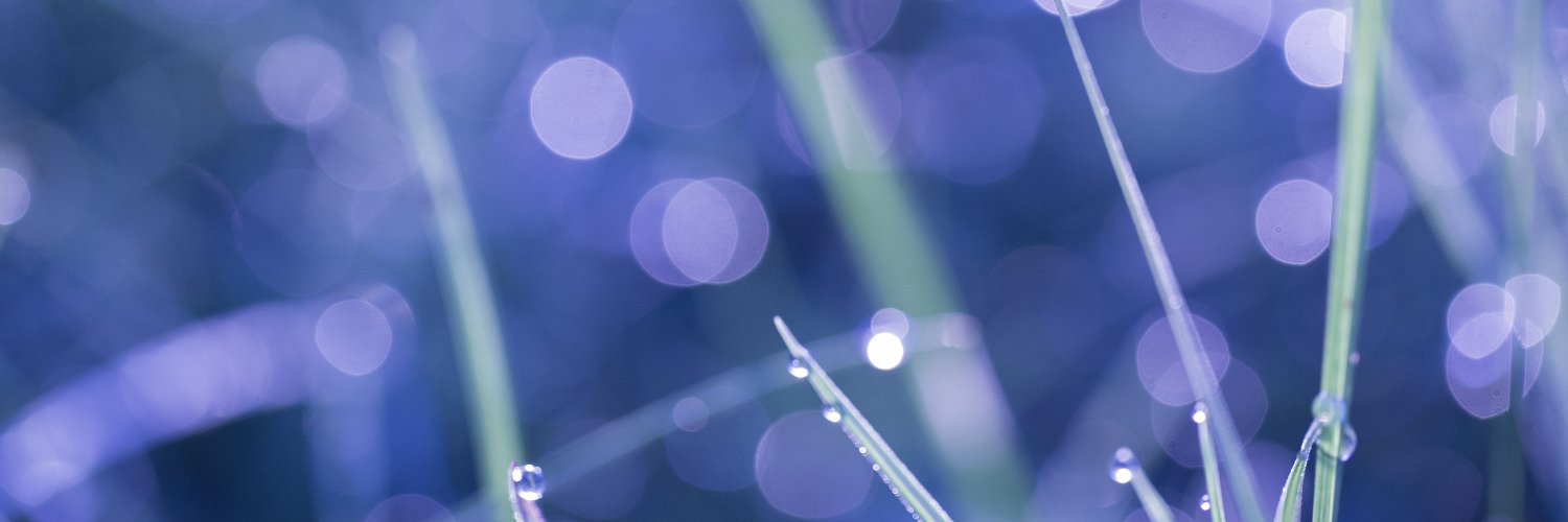 KristyePerkins's profile banner image