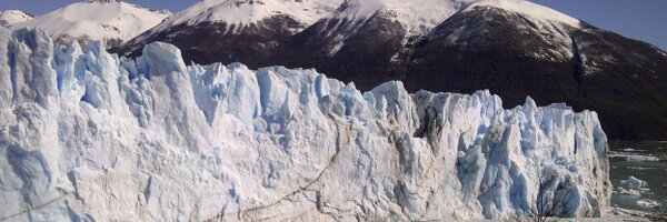 charoluchetti Profile Banner