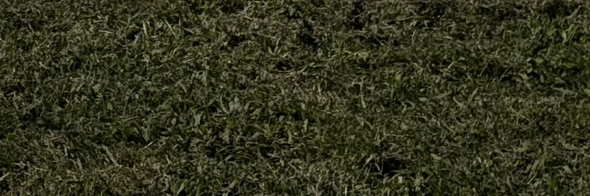 mia banner