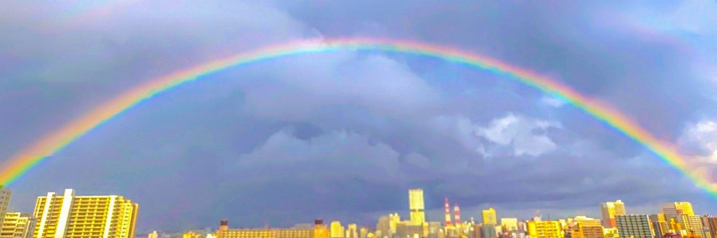 まこと。💒🐰⚾︎✨ banner