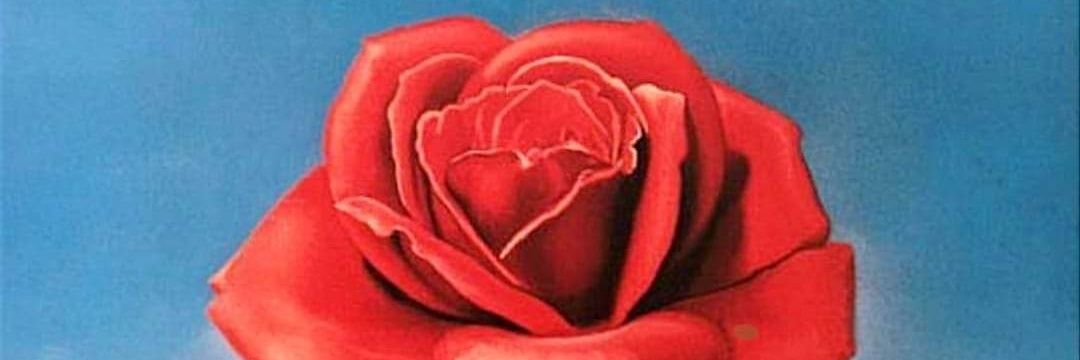❤️שטרקר's banner