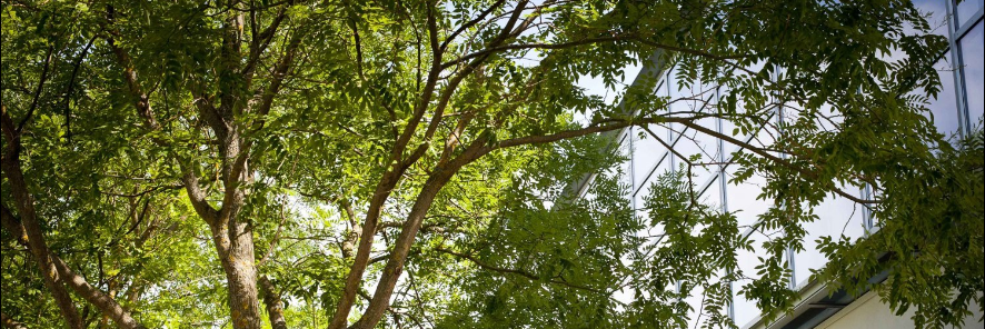 Owen Murphy banner