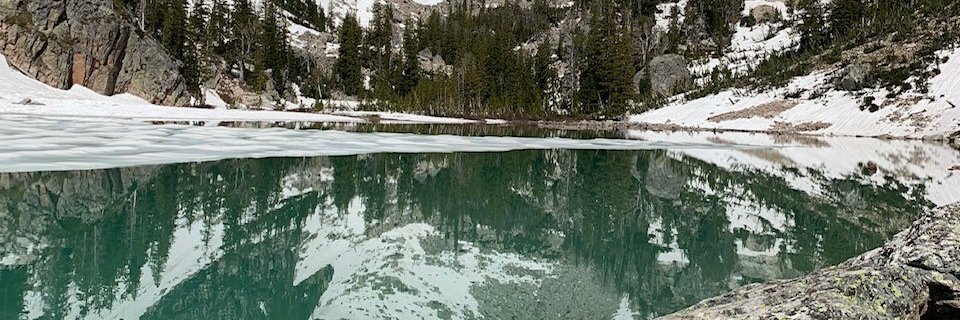 Chris Camfield banner