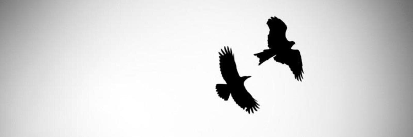 knlkca's profile banner image