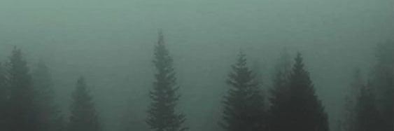 DestinyXXI's profile banner image
