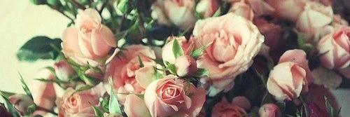 IEE__11's profile banner image