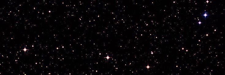 Stańczyk🥀 banner