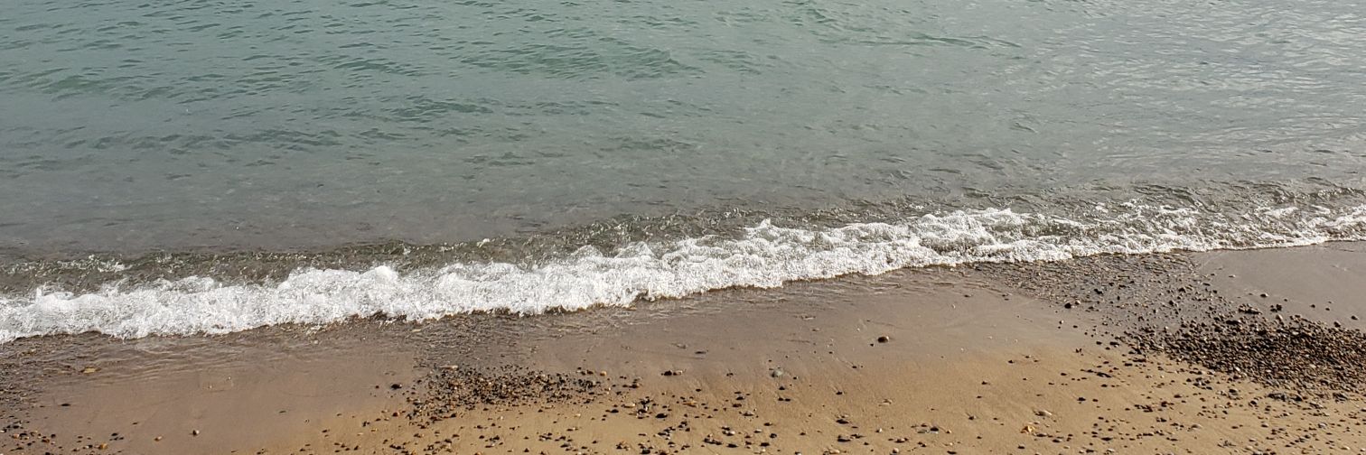 Nick Gonzalez banner