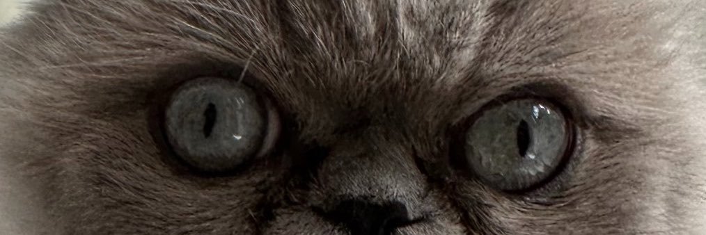 mahlamhgh's profile banner image