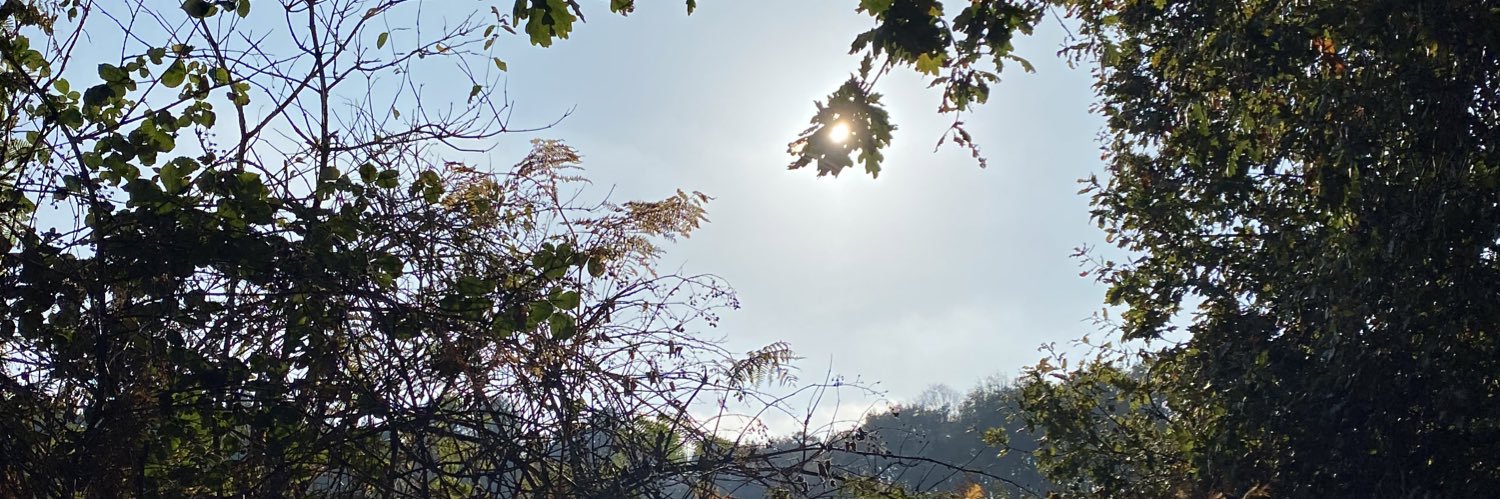 sol_crane's profile banner image
