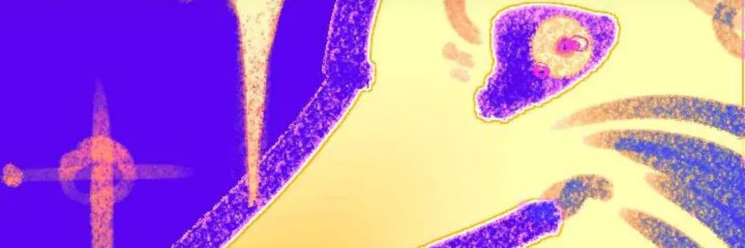 9clkl37650077's banner