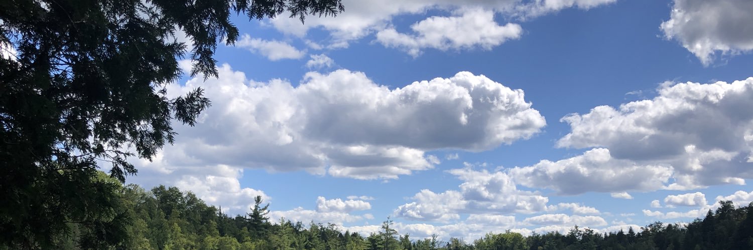 constant_annie's profile banner image