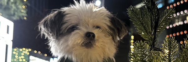 chollang_i Profile Banner