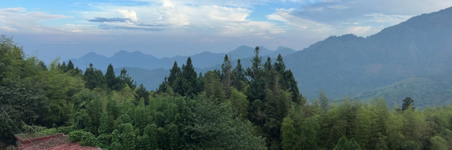 Mallissa Vuong banner