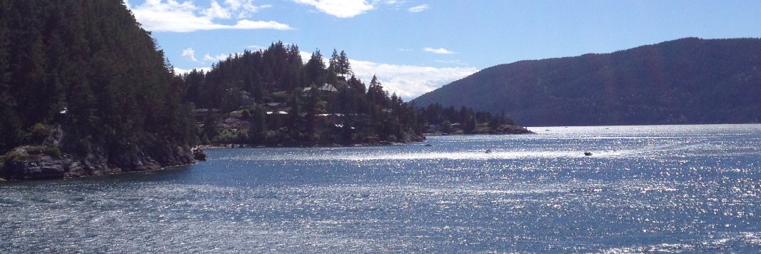 Larissa Naylor banner