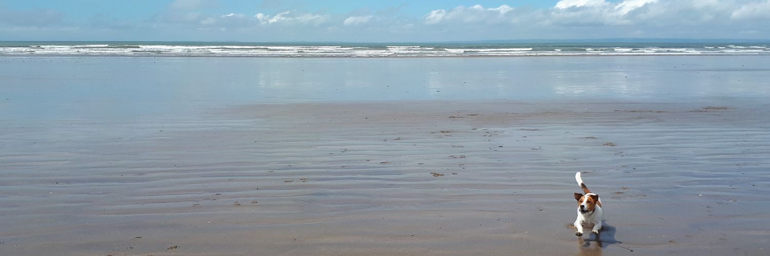 Catherine Morse banner