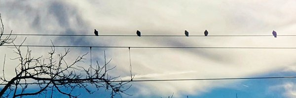 unamezzaidea Profile Banner