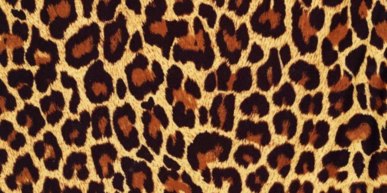 sanne_kus's profile banner image